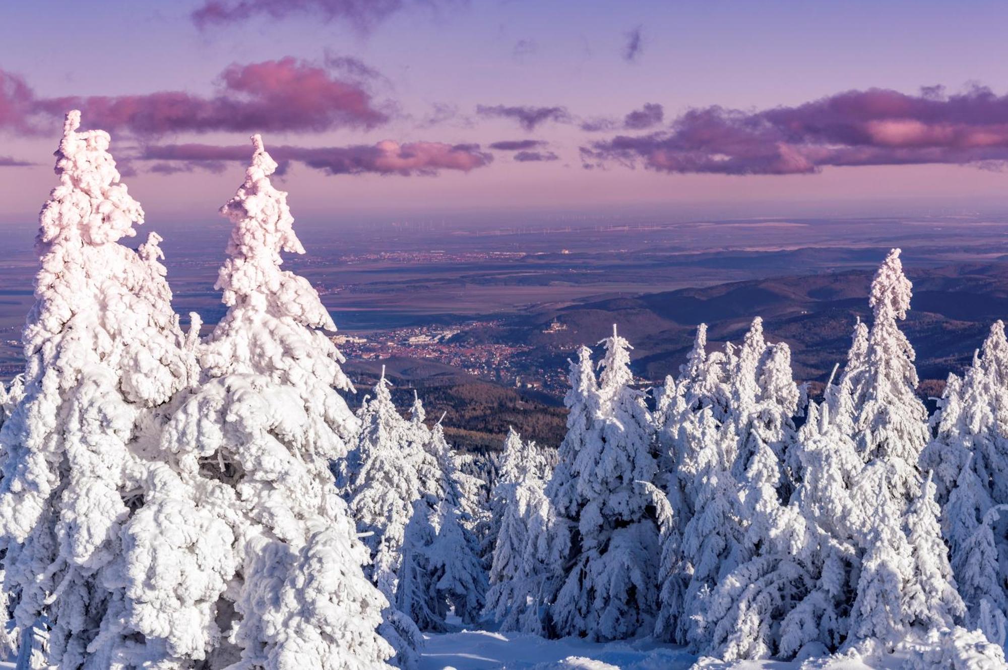 Ferienwohnungen An Der Bimmelbahn Wernigerode Exteriér fotografie