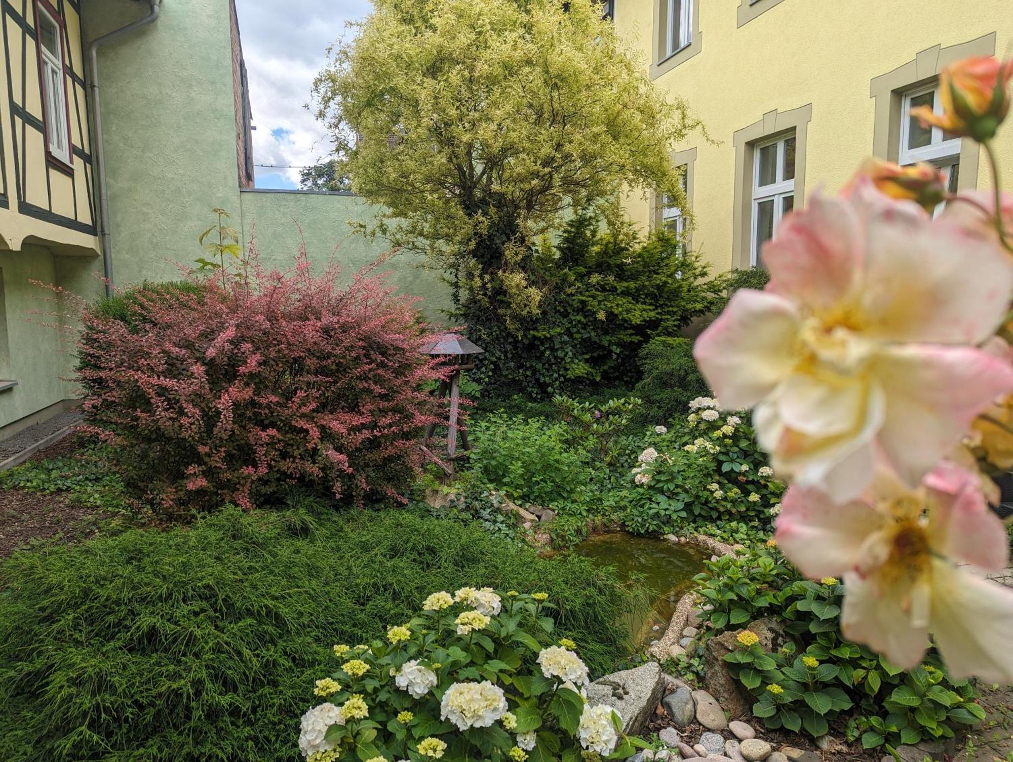 Ferienwohnungen An Der Bimmelbahn Wernigerode Exteriér fotografie